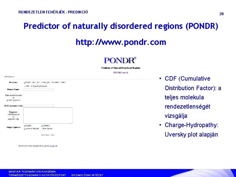 RENDEZETLEN FEHÉRJÉK - PREDIKCIÓ 28 Predictor of naturally disordered regions (PONDR) http: //www. pondr.