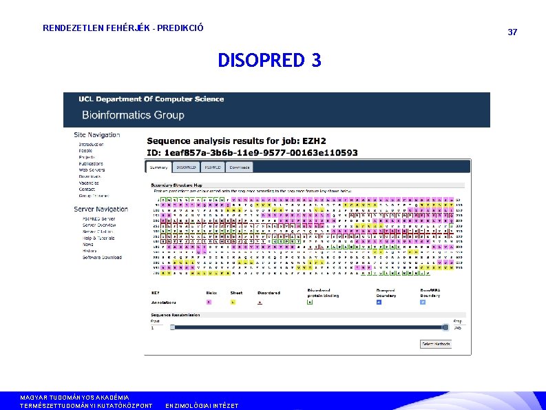RENDEZETLEN FEHÉRJÉK - PREDIKCIÓ 37 DISOPRED 3 MAGYAR TUDOMÁNYOS AKADÉMIA TERMÉSZETTUDOMÁNYI KUTATÓKÖZPONT ANYAG- ÉS