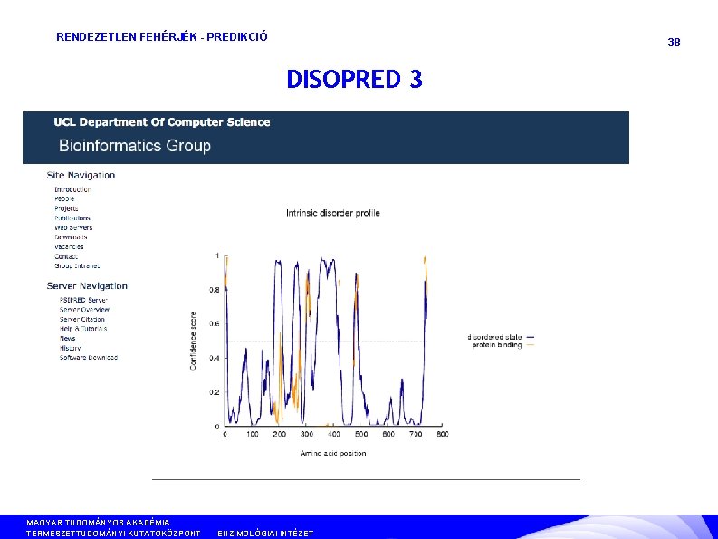 RENDEZETLEN FEHÉRJÉK - PREDIKCIÓ 38 DISOPRED 3 MAGYAR TUDOMÁNYOS AKADÉMIA TERMÉSZETTUDOMÁNYI KUTATÓKÖZPONT ANYAG- ÉS