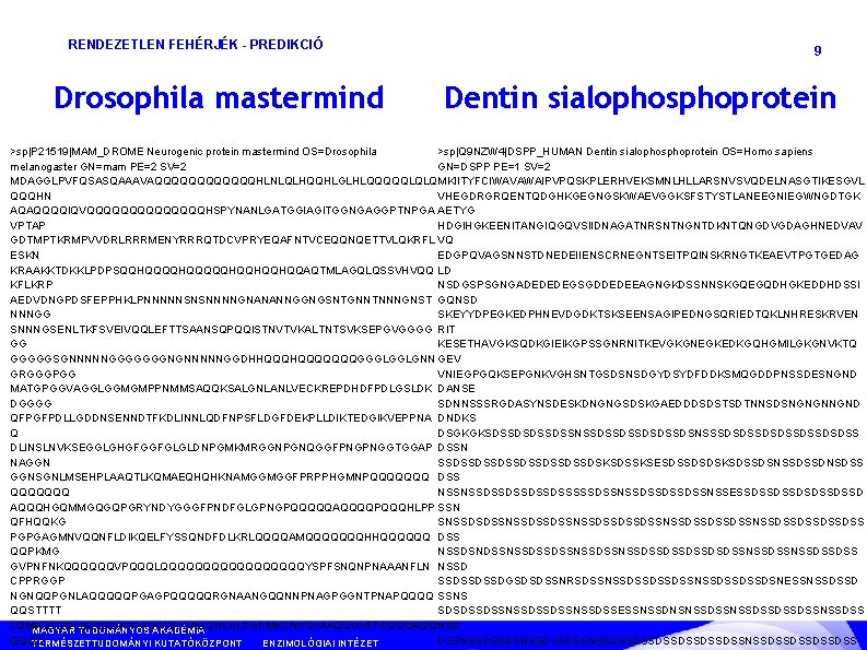 RENDEZETLEN FEHÉRJÉK - PREDIKCIÓ Drosophila mastermind 9 Dentin sialophosphoprotein >sp|Q 9 NZW 4|DSPP_HUMAN Dentin