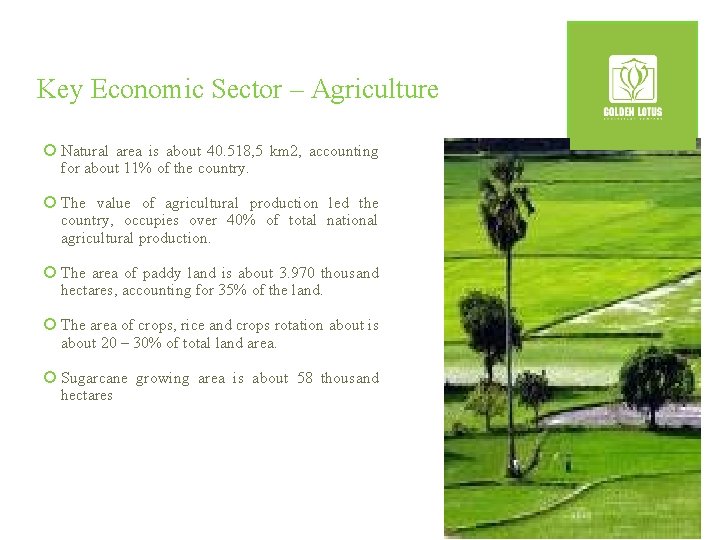 Key Economic Sector – Agriculture ¡ Natural area is about 40. 518, 5 km