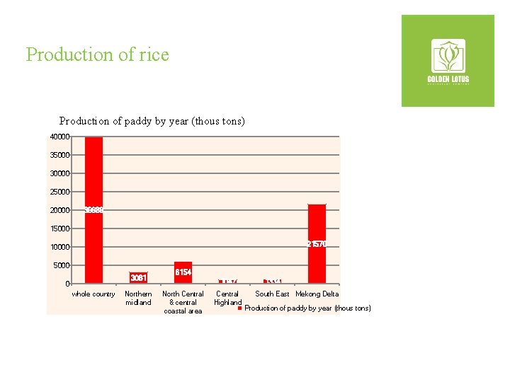 Production of rice Production of paddy by year (thous tons) 40000 35000 30000 25000