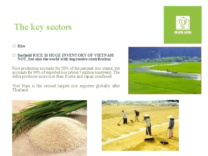 The key sectors ¡ Rice ¡ foothold RICE IS HUGE INVENTORY OF VIETNAM NOT,
