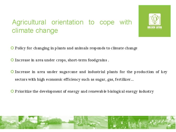 Agricultural orientation to cope with climate change ¡ Policy for changing in plants and