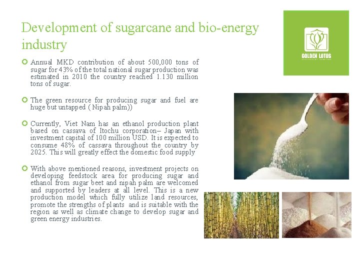 Development of sugarcane and bio-energy industry ¡ Annual MKD contribution of about 500, 000