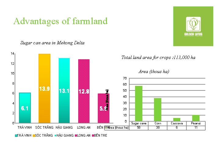 Advantages of farmland Sugar can area in Mekong Delta 14 Total land area for