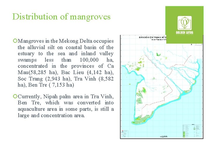 Distribution of mangroves ¡Mangroves in the Mekong Delta occupies the alluvial silt on coastal