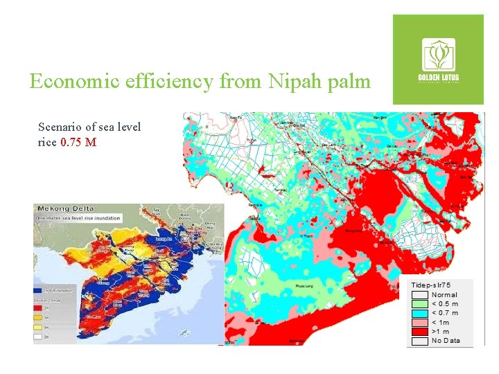 Economic efficiency from Nipah palm Scenario of sea level rice 0. 75 M 