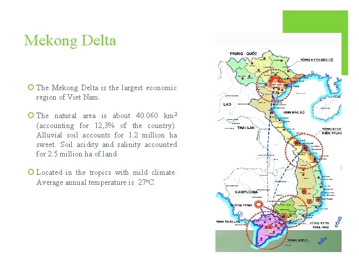 Mekong Delta ¡ The Mekong Delta is the largest economic region of Viet Nam.