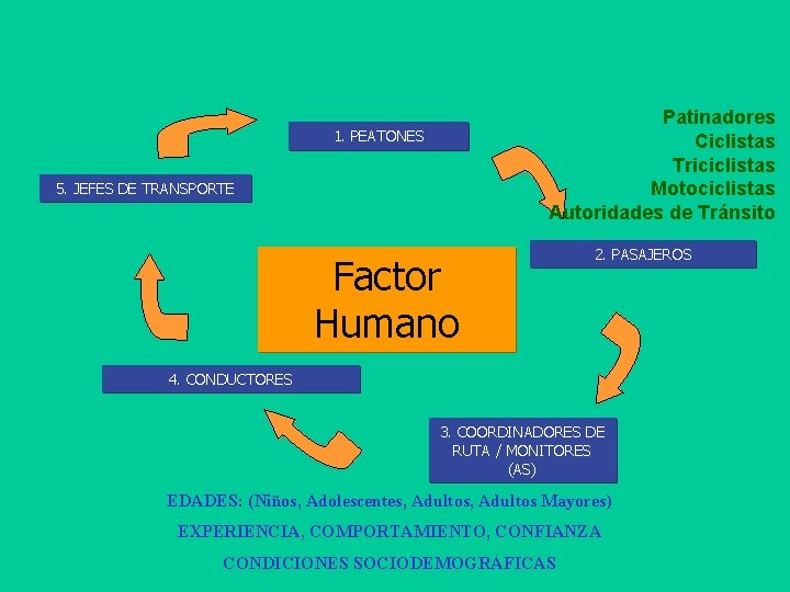 Patinadores Ciclistas Triciclistas Motociclistas Autoridades de Tránsito 1. PEATONES 5. JEFES DE TRANSPORTE Factor