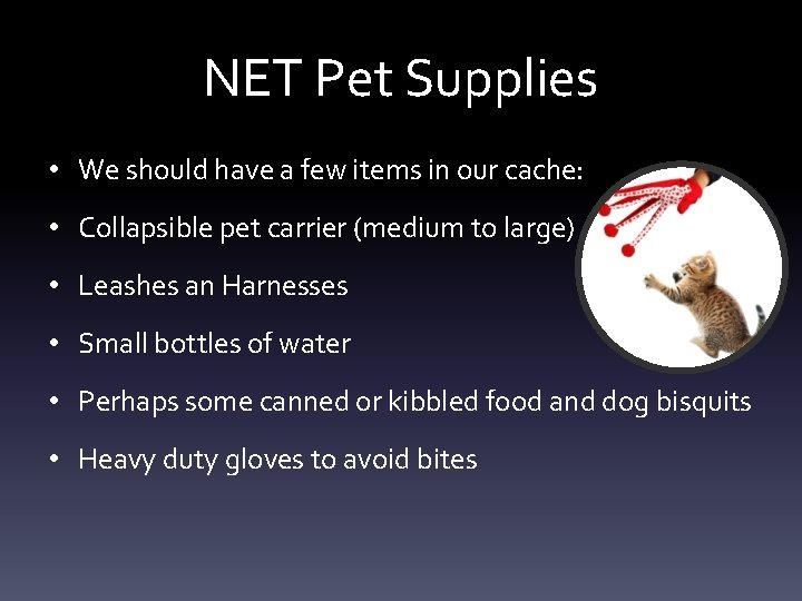 NET Pet Supplies • We should have a few items in our cache: • NET Pet Supplies • We should have a few items in our cache: •