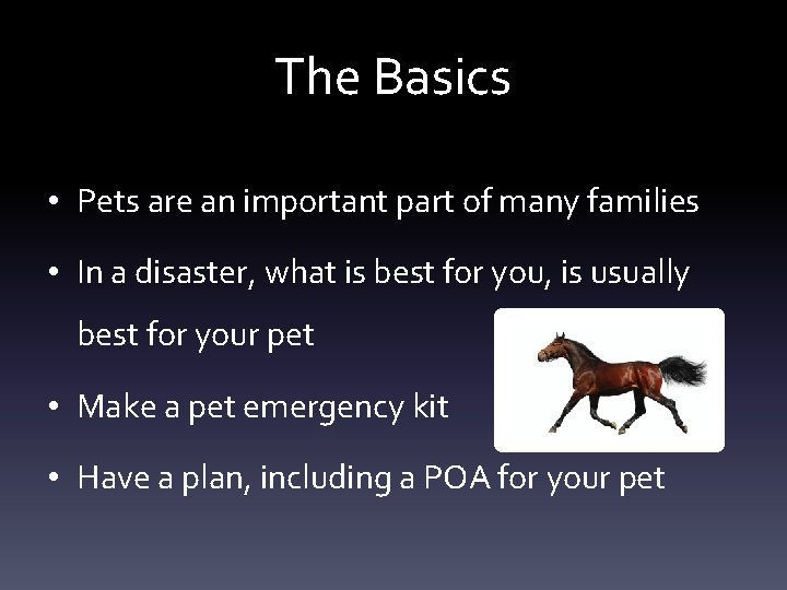 The Basics • Pets are an important part of many families • In a The Basics • Pets are an important part of many families • In a