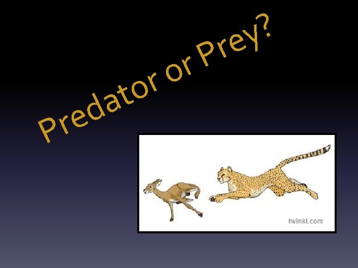 t a d e r P o r P r ? y e t a d e r P o r P r ? y e