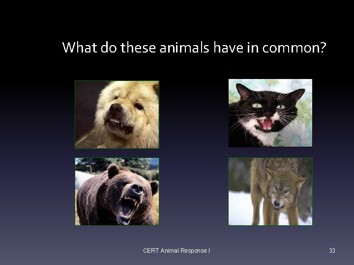 Grouping Animals What do these animals have in common? CERT Animal Response I 33 Grouping Animals What do these animals have in common? CERT Animal Response I 33
