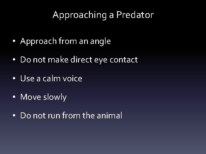 Approaching a Predator • Approach from an angle • Do not make direct eye Approaching a Predator • Approach from an angle • Do not make direct eye