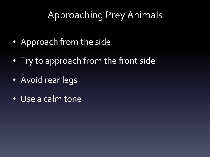 Approaching Prey Animals • Approach from the side • Try to approach from the Approaching Prey Animals • Approach from the side • Try to approach from the