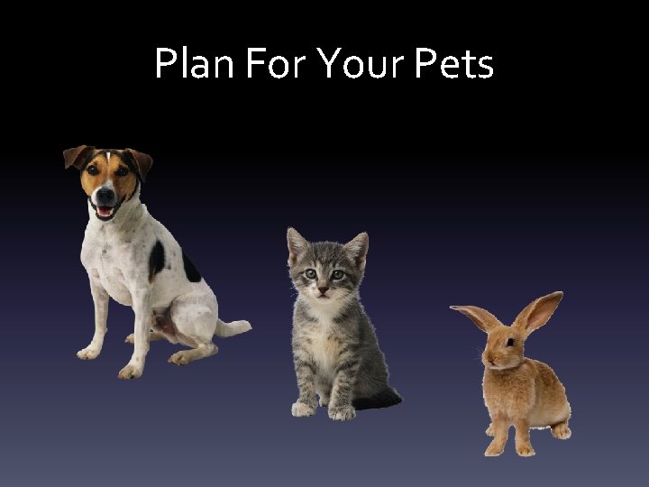Plan For Your Pets Plan For Your Pets