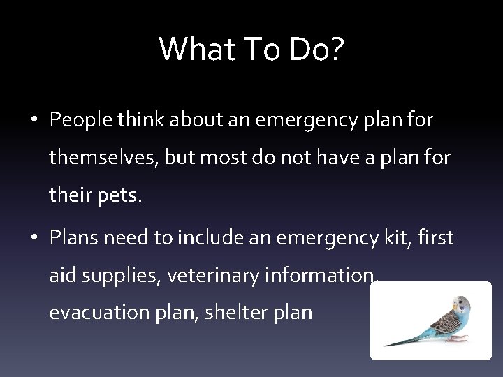 What To Do? • People think about an emergency plan for themselves, but most What To Do? • People think about an emergency plan for themselves, but most