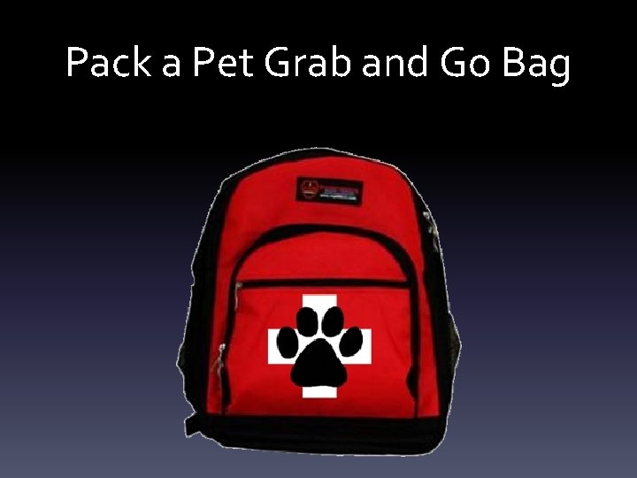 Pack a Pet Grab and Go Bag Pack a Pet Grab and Go Bag