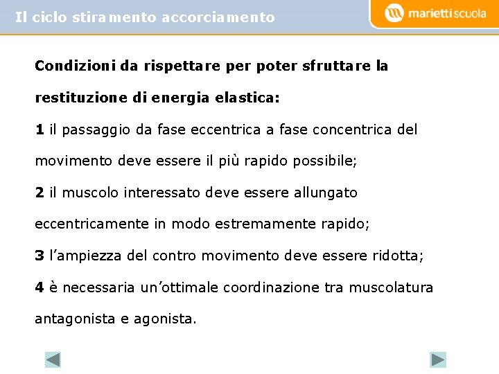 Il ciclo stiramento accorciamento Condizioni da rispettare per poter sfruttare la restituzione di energia Il ciclo stiramento accorciamento Condizioni da rispettare per poter sfruttare la restituzione di energia