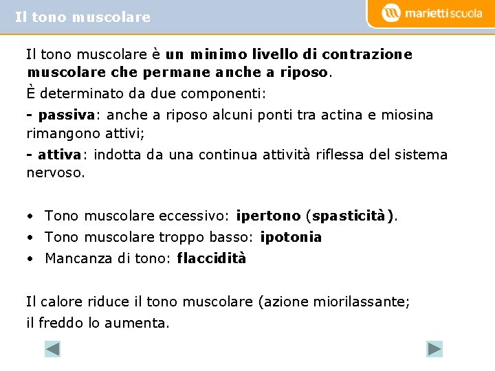 Il tono muscolare è un minimo livello di contrazione muscolare che permane anche a Il tono muscolare è un minimo livello di contrazione muscolare che permane anche a