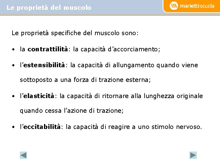 Le proprietà del muscolo Le proprietà specifiche del muscolo sono: • la contrattilità: la Le proprietà del muscolo Le proprietà specifiche del muscolo sono: • la contrattilità: la