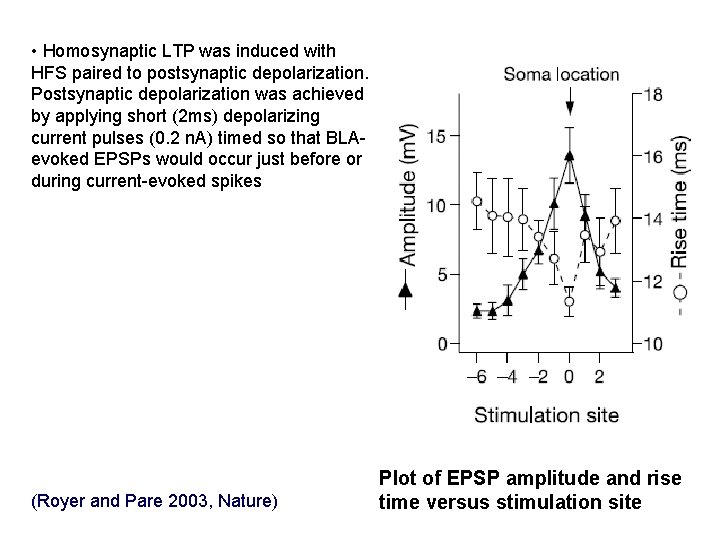  • Homosynaptic LTP was induced with HFS paired to postsynaptic depolarization. Postsynaptic depolarization