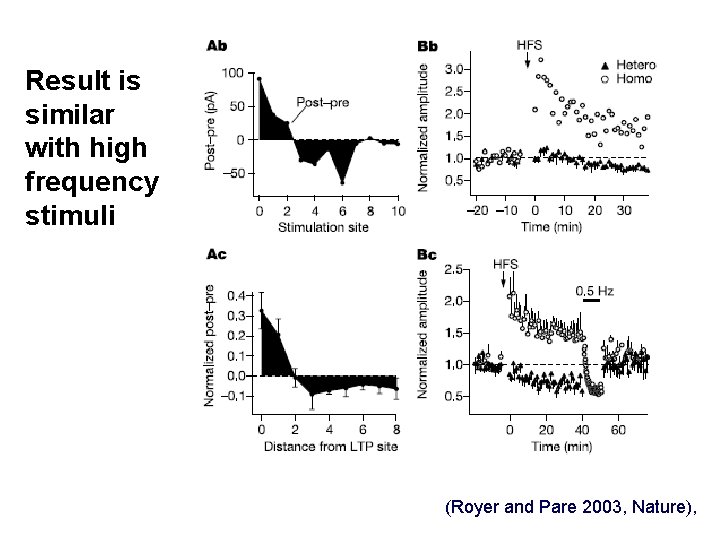 Result is similar with high frequency stimuli (Royer and Pare 2003, Nature), 