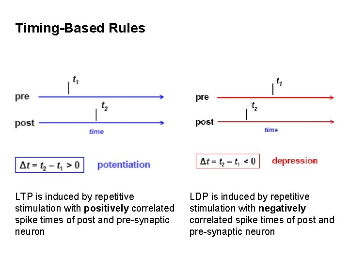 Timing-Based Rules LTP is induced by repetitive stimulation with positively correlated spike times of