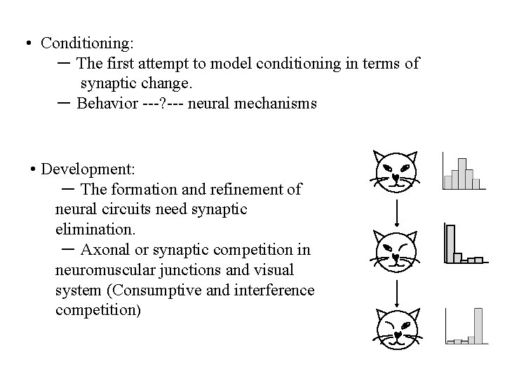  • Conditioning: － The first attempt to model conditioning in terms of synaptic