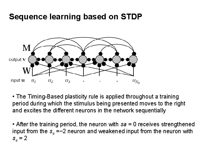 Sequence learning based on STDP • The Timing-Based plasticity rule is applied throughout a
