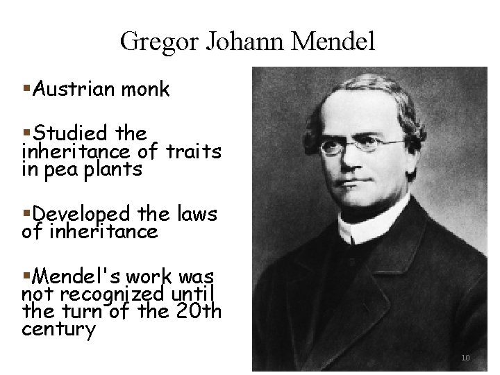 Gregor Johann Mendel §Austrian monk §Studied the inheritance of traits in pea plants §Developed Gregor Johann Mendel §Austrian monk §Studied the inheritance of traits in pea plants §Developed