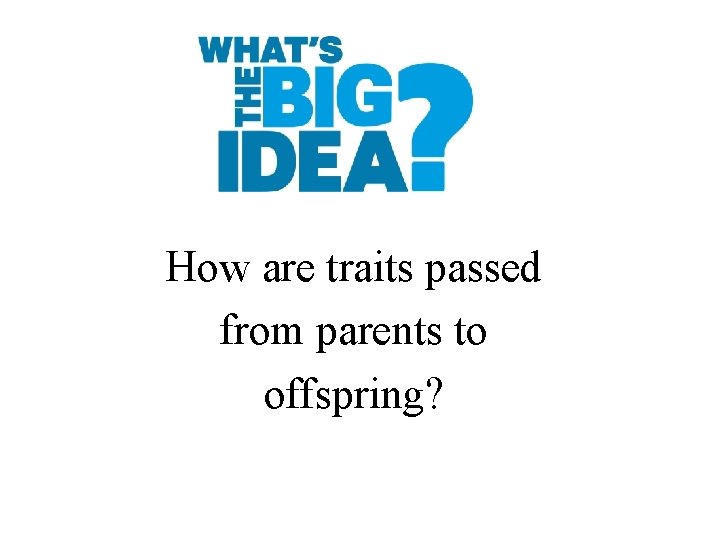 How are traits passed from parents to offspring? How are traits passed from parents to offspring?