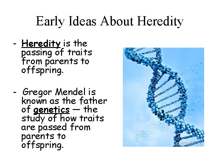 Early Ideas About Heredity - Heredity is the passing of traits from parents to Early Ideas About Heredity - Heredity is the passing of traits from parents to