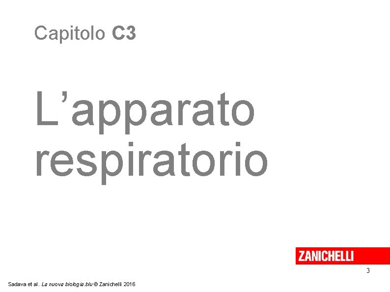 Capitolo C 3 L’apparato respiratorio 3 Sadava et al. La nuova biologia. blu ©