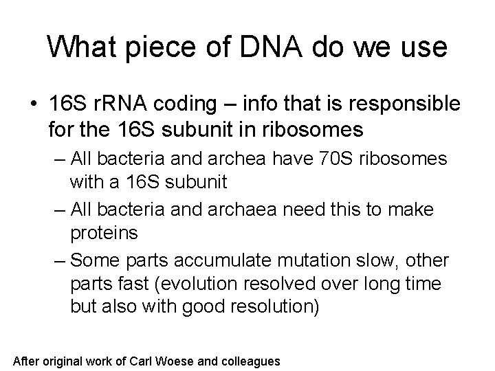 What piece of DNA do we use • 16 S r. RNA coding –