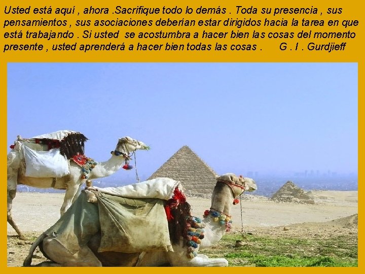 Usted está aquí , ahora. Sacrifique todo lo demás. Toda su presencia , sus