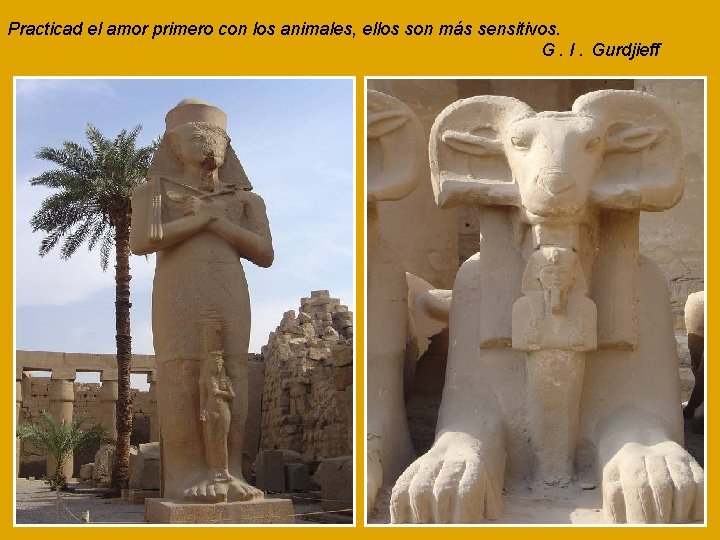 Practicad el amor primero con los animales, ellos son más sensitivos. G. I. Gurdjieff