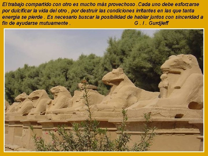 El trabajo compartido con otro es mucho más provechoso. Cada uno debe esforzarse por