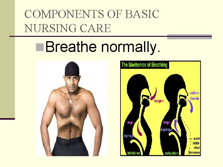 COMPONENTS OF BASIC NURSING CARE n. Breathe normally. 