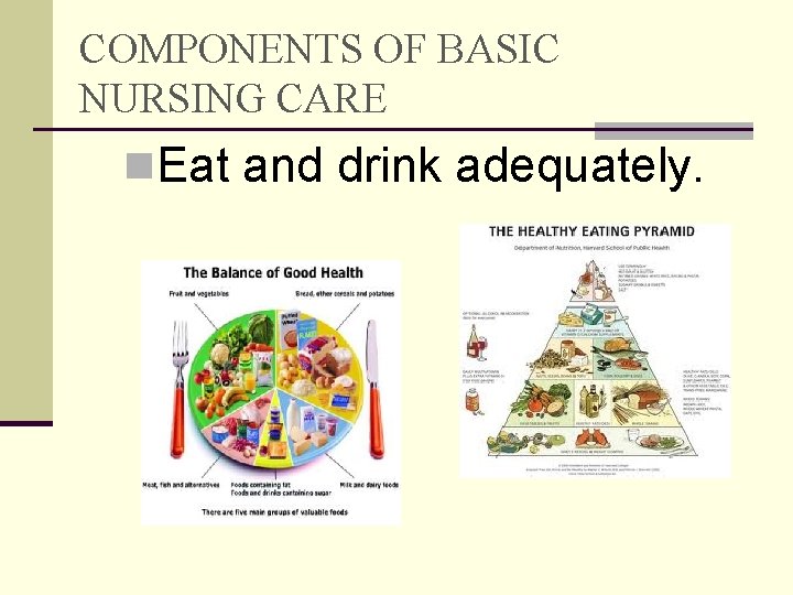 COMPONENTS OF BASIC NURSING CARE n. Eat and drink adequately. 