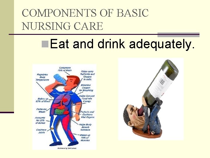 COMPONENTS OF BASIC NURSING CARE n. Eat and drink adequately. 