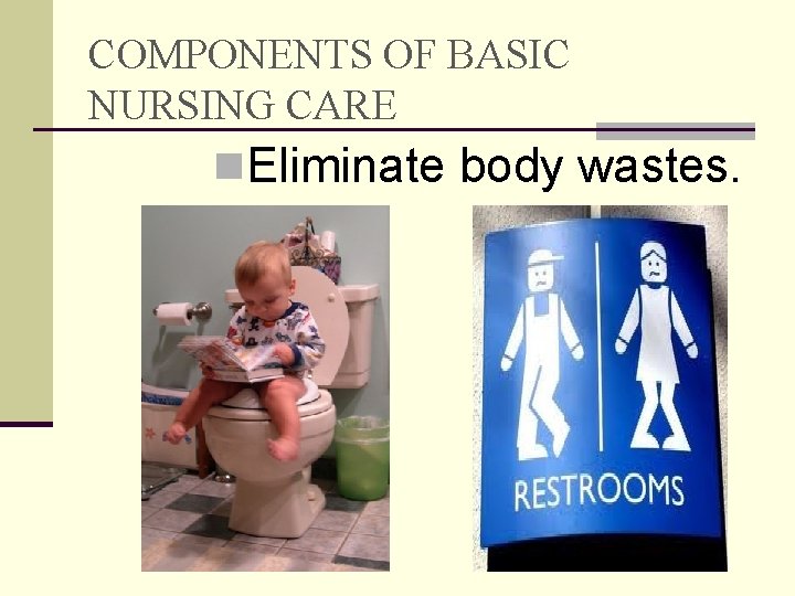 COMPONENTS OF BASIC NURSING CARE n. Eliminate body wastes. 