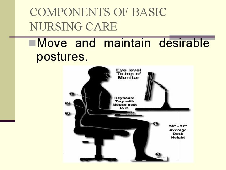 COMPONENTS OF BASIC NURSING CARE n. Move and maintain desirable postures. 