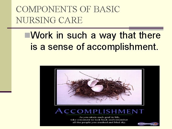 COMPONENTS OF BASIC NURSING CARE n. Work in such a way that there is