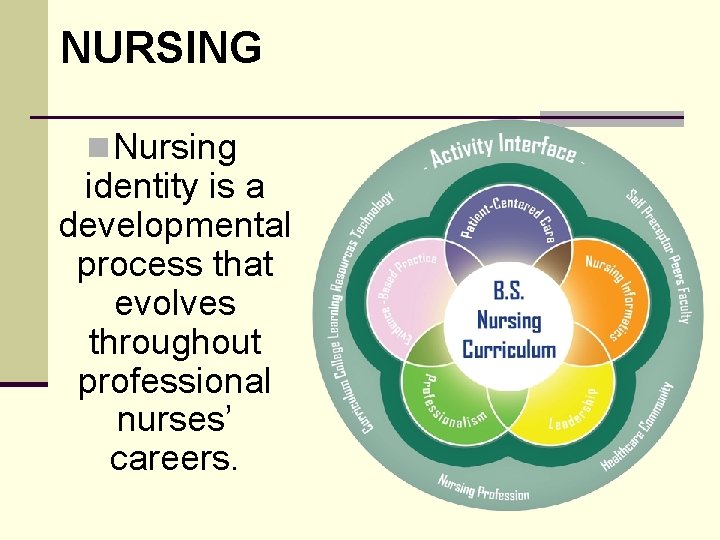 NURSING n Nursing identity is a developmental process that evolves throughout professional nurses’ careers.