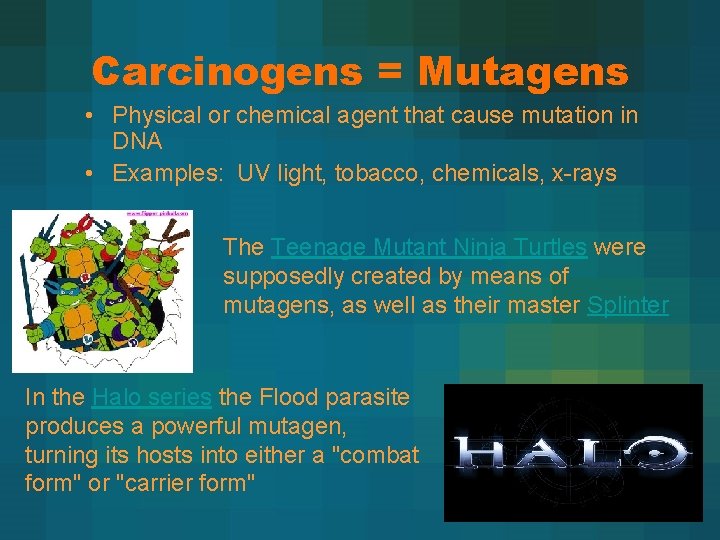 Carcinogens = Mutagens • Physical or chemical agent that cause mutation in DNA •