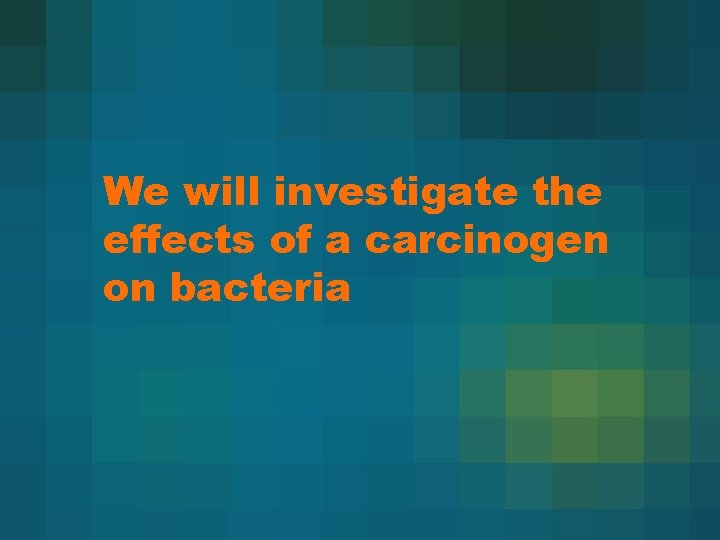 We will investigate the effects of a carcinogen on bacteria 