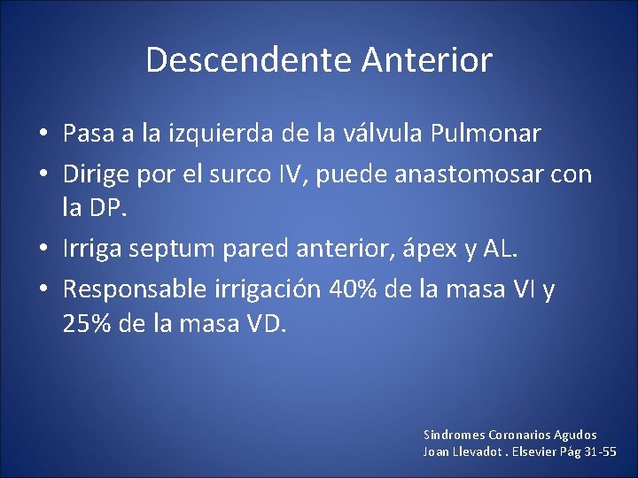 Descendente Anterior • Pasa a la izquierda de la válvula Pulmonar • Dirige por