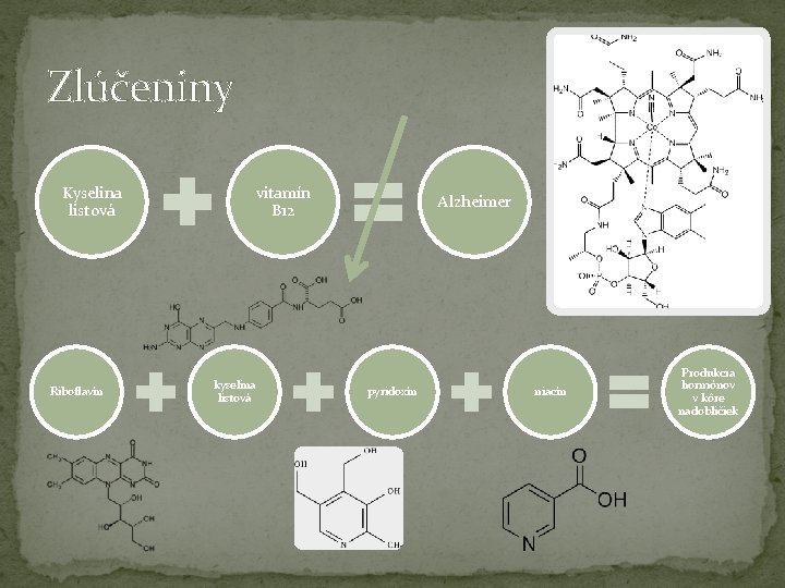 Zlúčeniny Kyselina listová Riboflavín vitamín B 12 kyselina listová Alzheimer pyridoxín niacín Produkcia hormónov